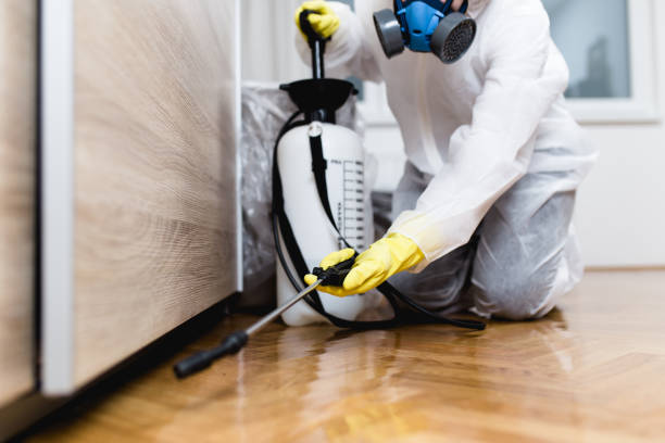 Best Flea Control Services  in Trinity, AL