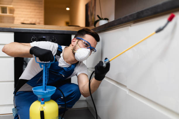 Wasp Removal Services in Trinity, AL
