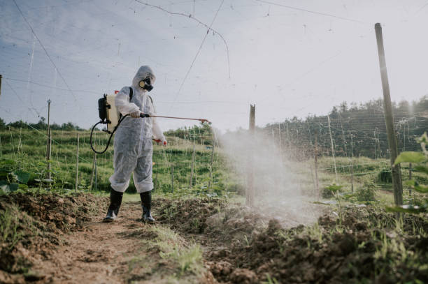 Best Commercial Pest Control Services  in Trinity, AL
