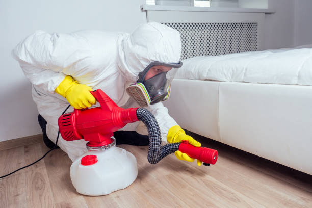 Best Cockroach Control Services  in Trinity, AL
