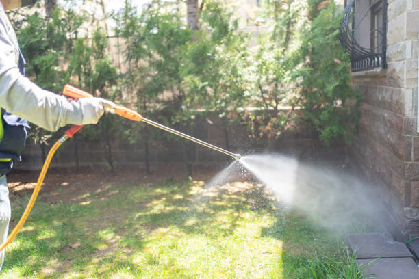 Best Mosquito Control Services  in Trinity, AL