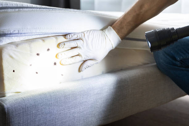 Best Best Pest Control Companies  in Trinity, AL