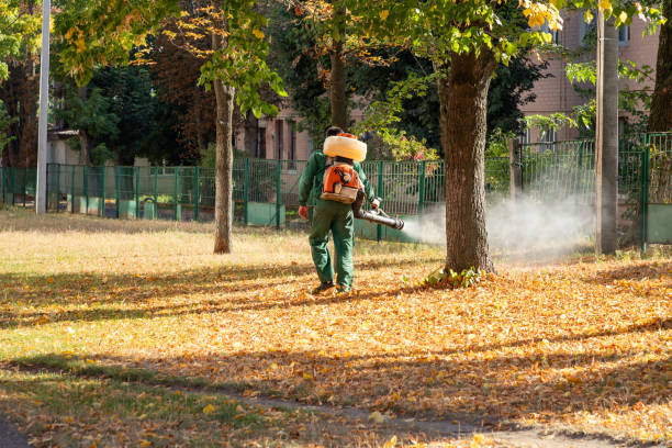 Best Pest Control for Businesses  in Trinity, AL