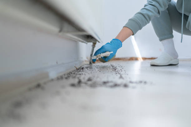 Best Pest Removal Services  in Trinity, AL